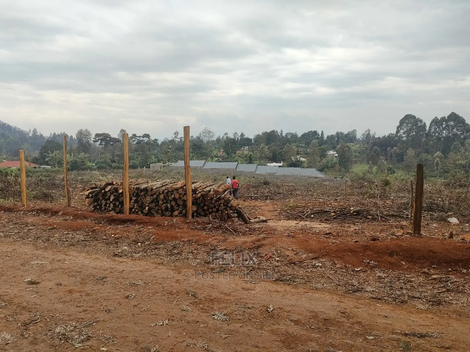 Karatina /Tumutumu/Giagatika Prime Plots
