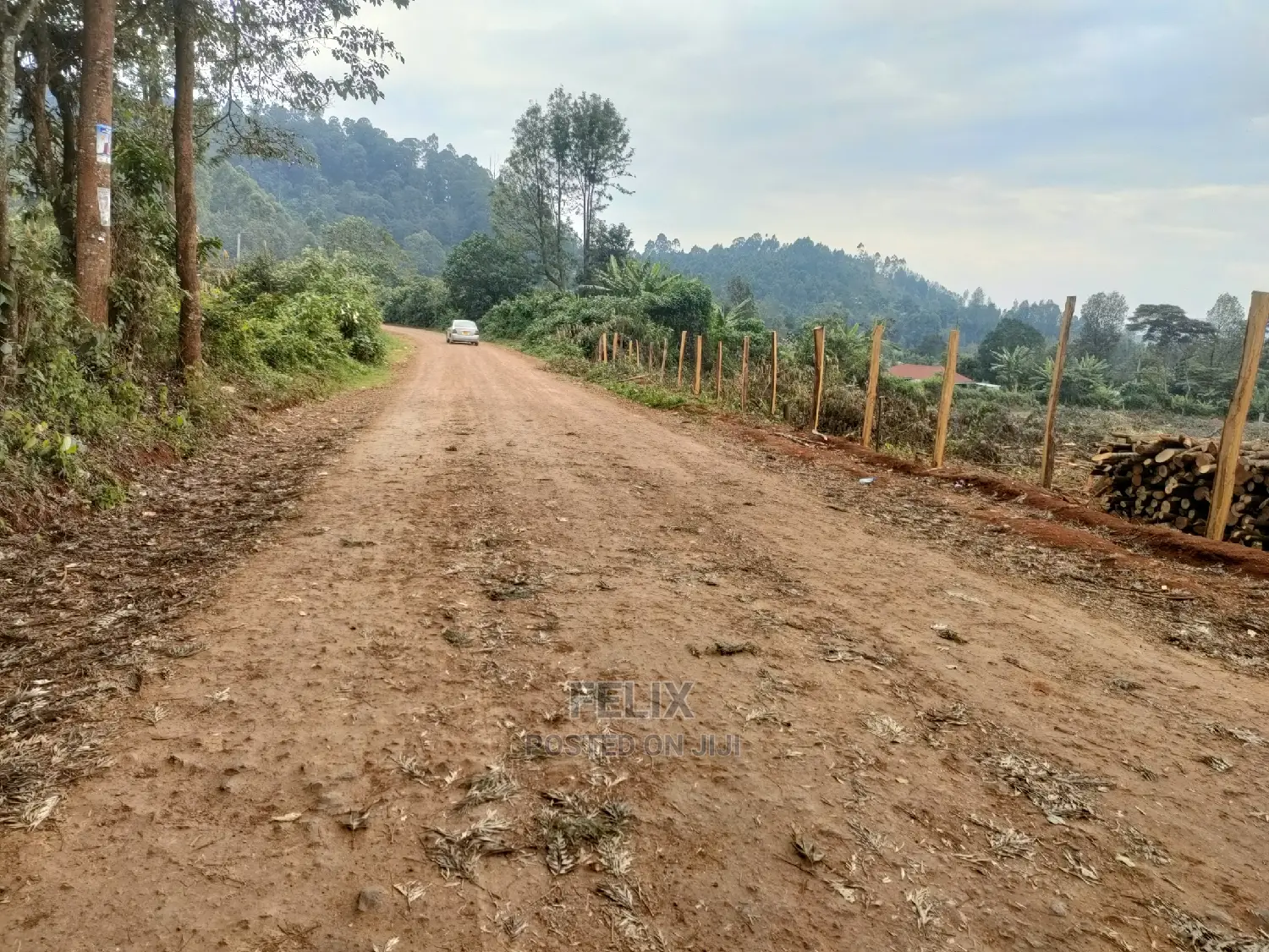 Karatina /Tumutumu/Giagatika Prime Plots