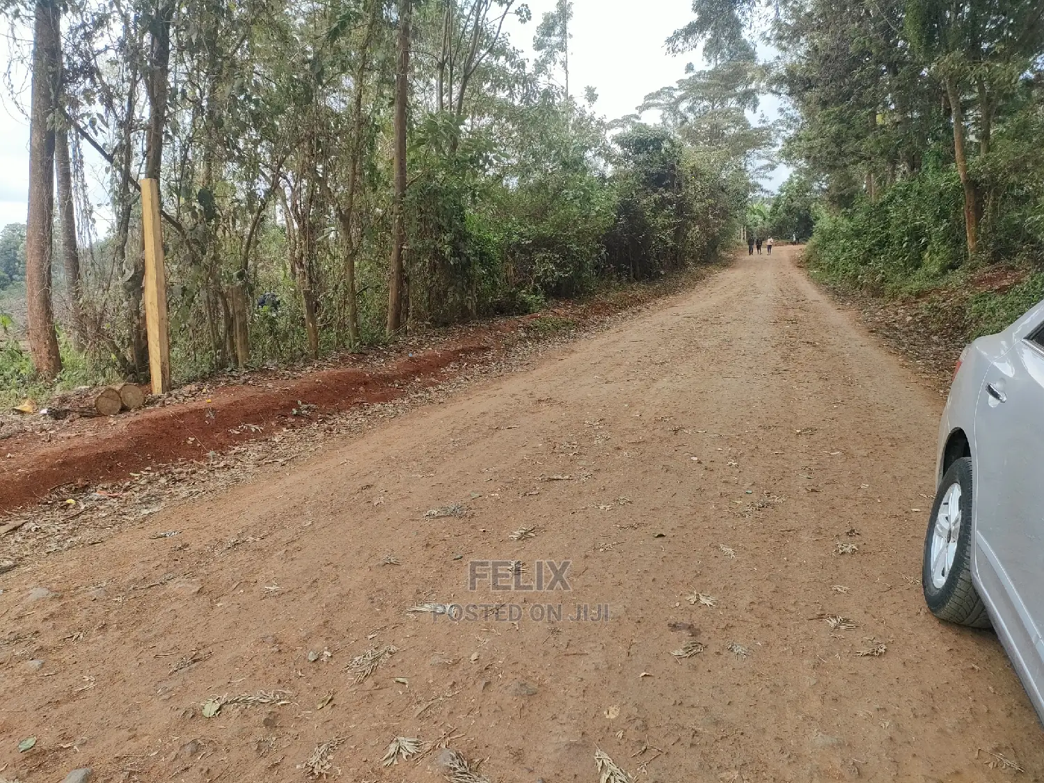 Karatina /Tumutumu/Giagatika Prime Plots