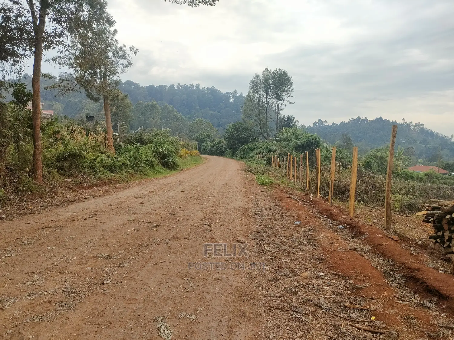 Karatina /Tumutumu/Giagatika Prime Plots