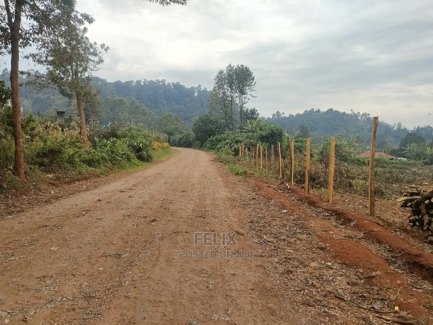 Karatina /Tumutumu/Giagatika Prime Plots