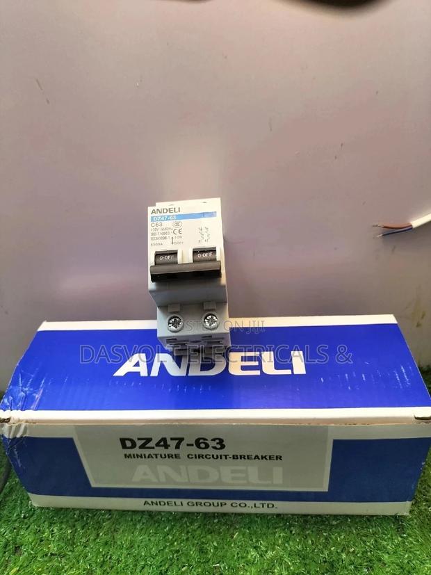 Double Pole Mcb 63A - main view