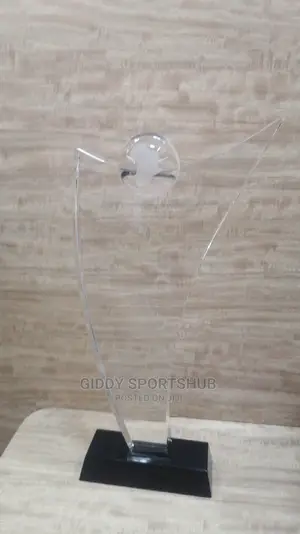 Crystal Glass Trophies for Gift