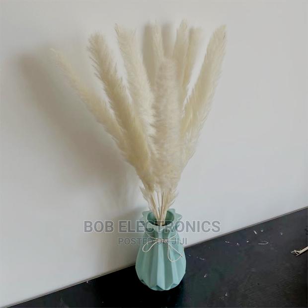 Decorative Small Pampas Grass