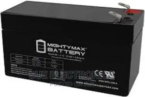 12v 1.3ah SMF Battery