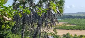 Creek Beach Mtwapa,2 Acre Land on Sale