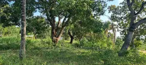 Creek Beach Mtwapa,2 Acre Land on Sale