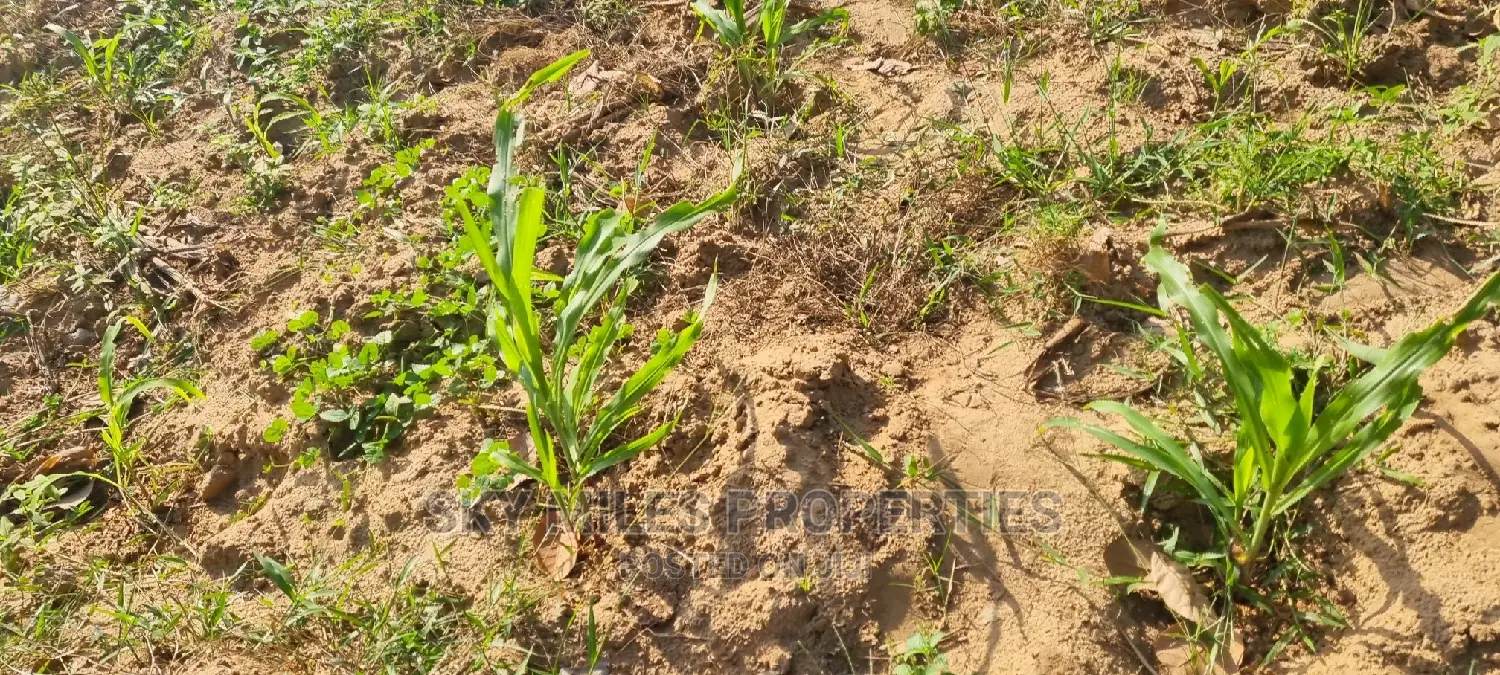 Creek Beach Mtwapa,2 Acre Land on Sale