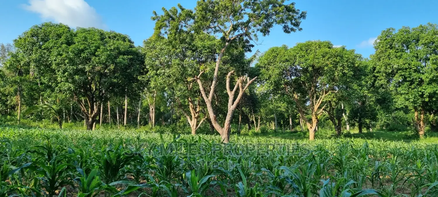1 Acre Land on Sale Mtwapa,Second Row From the Creek Beach