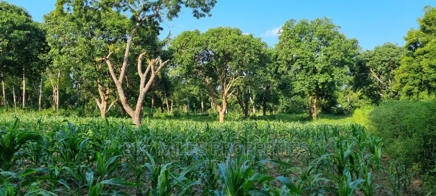 1 Acre Land on Sale Mtwapa,Second Row From the Creek Beach