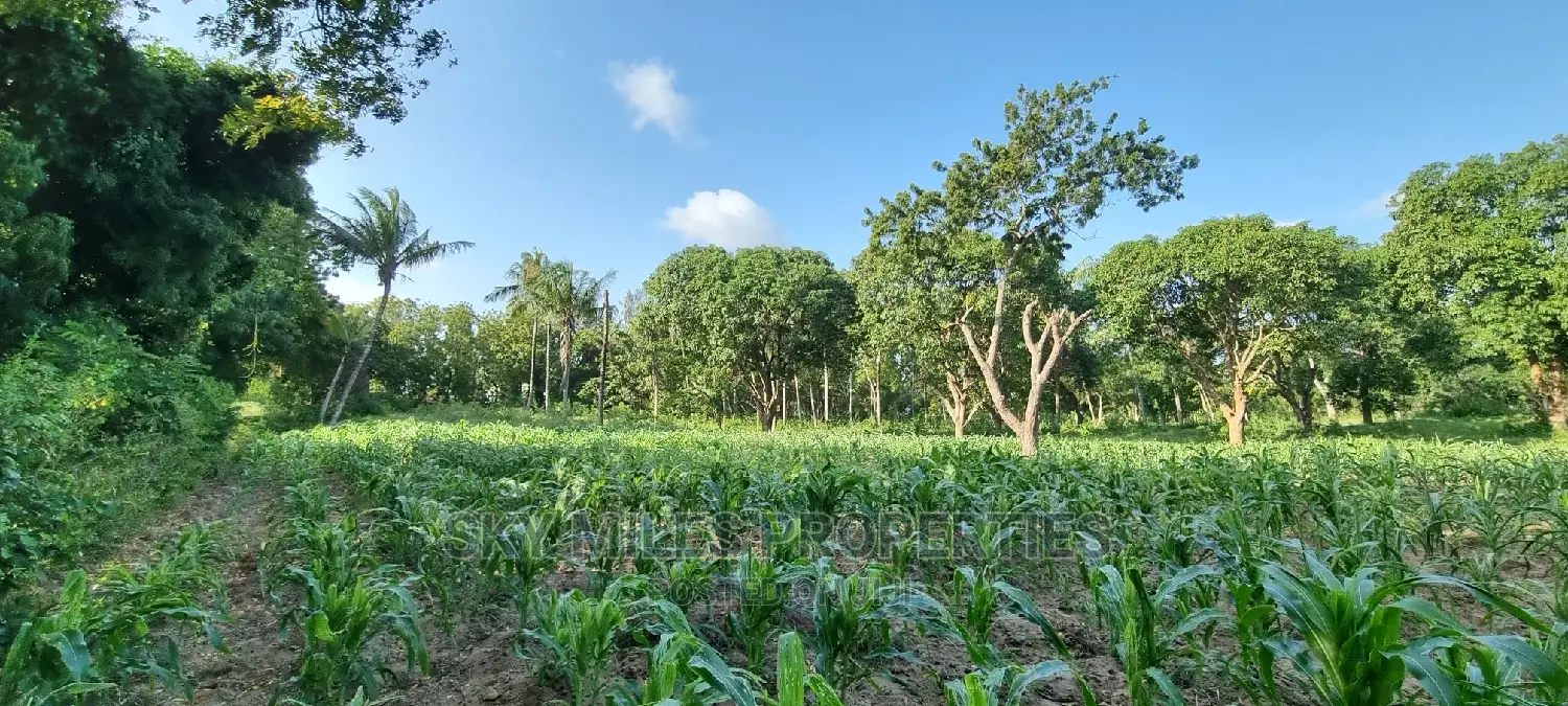 1 Acre Land on Sale Mtwapa,Second Row From the Creek Beach