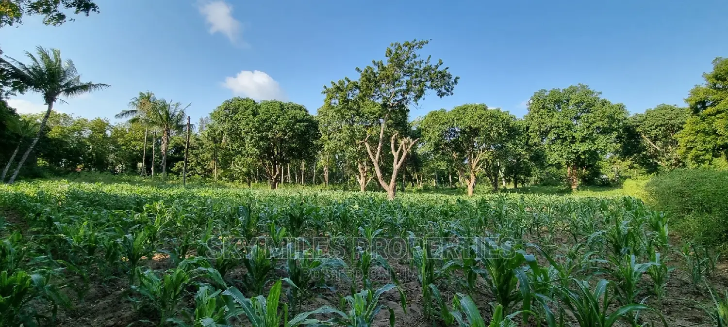 1 Acre Land on Sale Mtwapa,Second Row From the Creek Beach