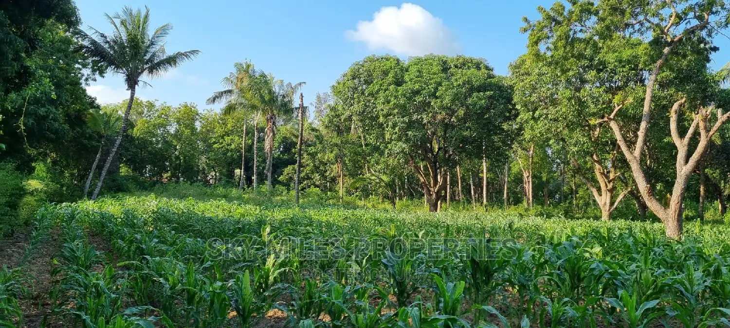 1 Acre Land on Sale Mtwapa,Second Row From the Creek Beach