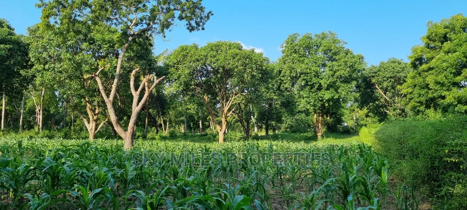 1 Acre Land on Sale Mtwapa,Second Row From the Creek Beach