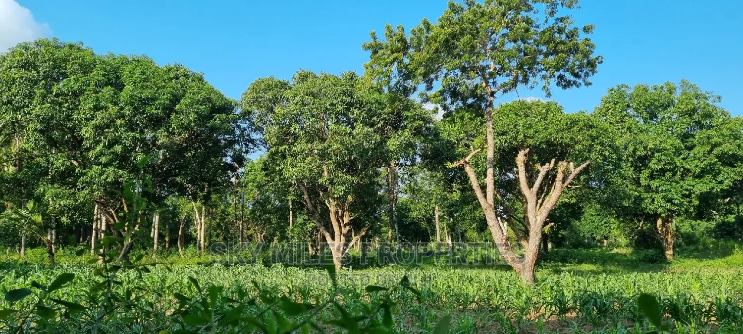 1 Acre Land on Sale Mtwapa,Second Row From the Creek Beach