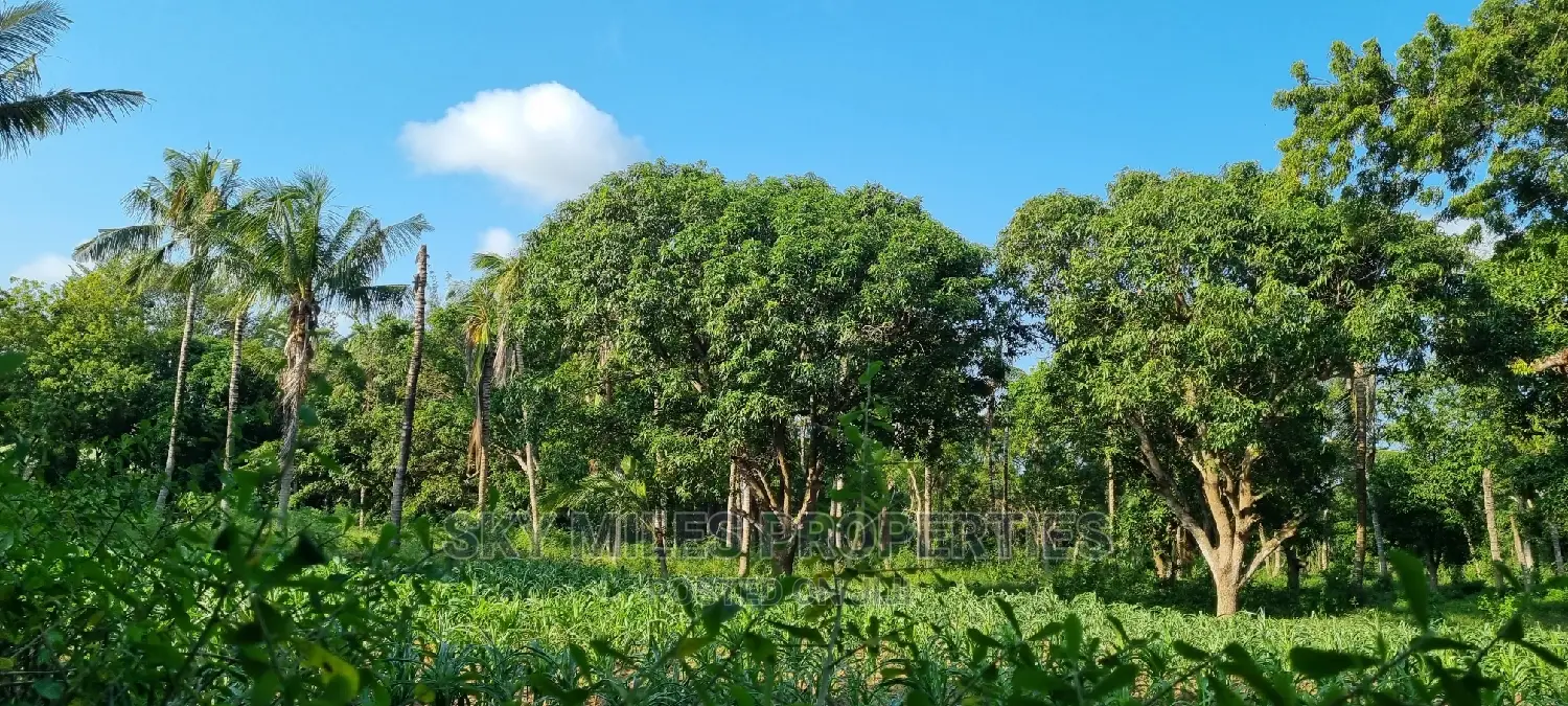 1 Acre Land on Sale Mtwapa,Second Row From the Creek Beach