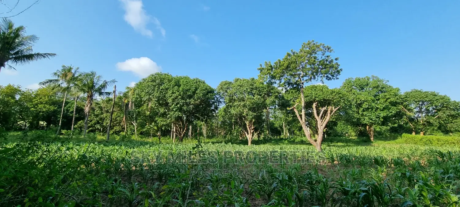 1 Acre Land on Sale Mtwapa,Second Row From the Creek Beach