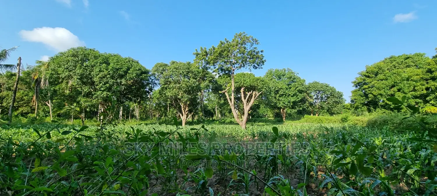 1 Acre Land on Sale Mtwapa,Second Row From the Creek Beach