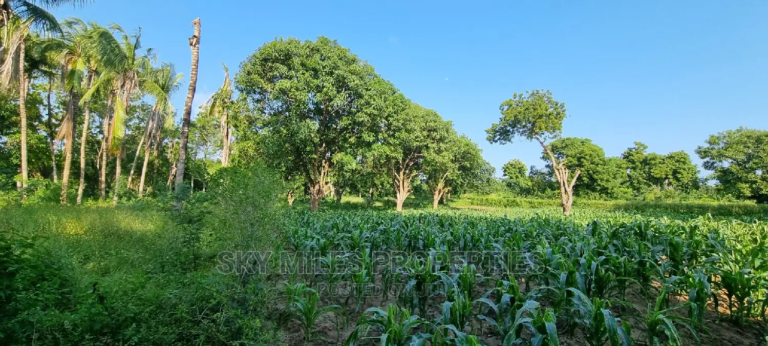 1 Acre Land on Sale Mtwapa,Second Row From the Creek Beach