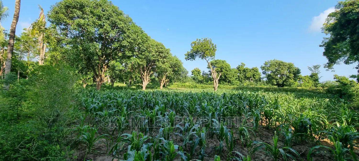 1 Acre Land on Sale Mtwapa,Second Row From the Creek Beach