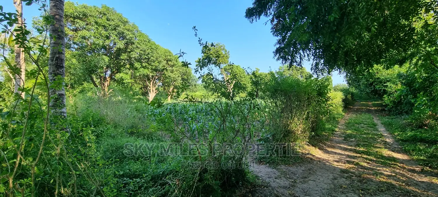 1 Acre Land on Sale Mtwapa,Second Row From the Creek Beach
