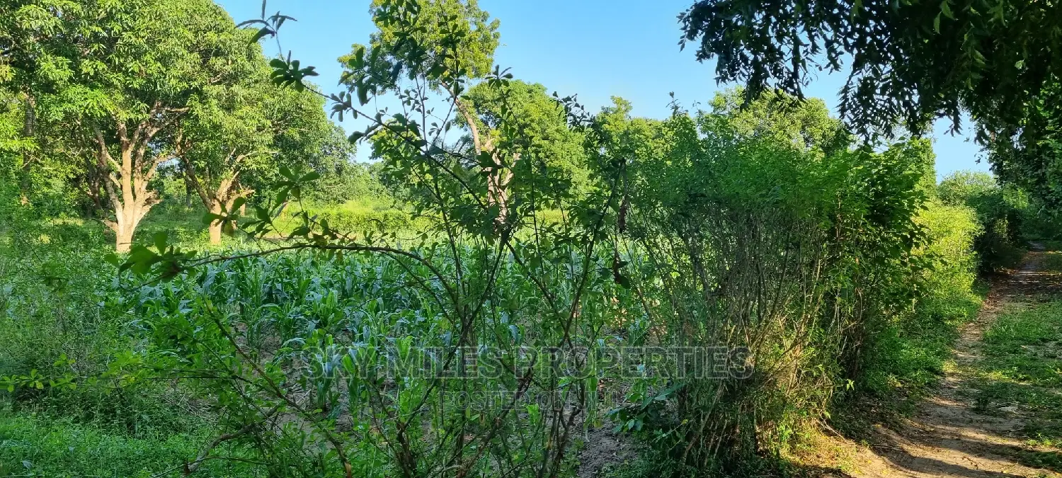 1 Acre Land on Sale Mtwapa,Second Row From the Creek Beach
