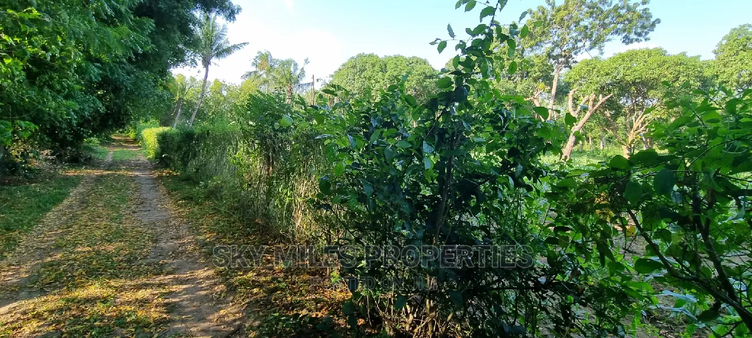 1 Acre Land on Sale Mtwapa,Second Row From the Creek Beach
