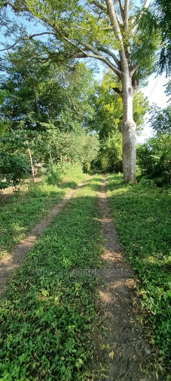 1 Acre Land on Sale Mtwapa,Second Row From the Creek Beach