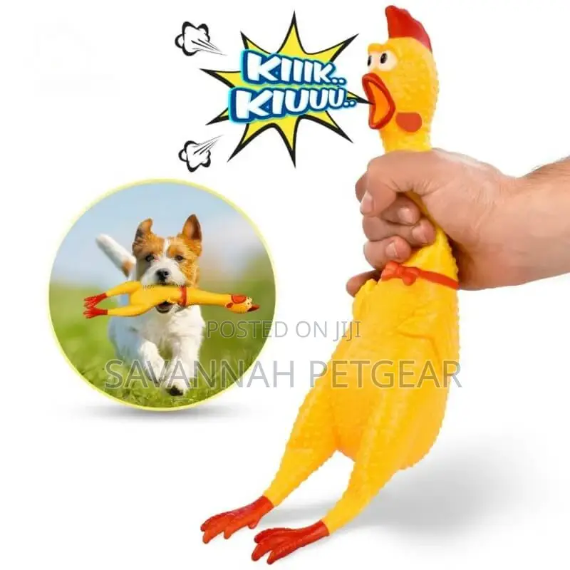 Screaming Chicken Squeaky Funny Dog Toy