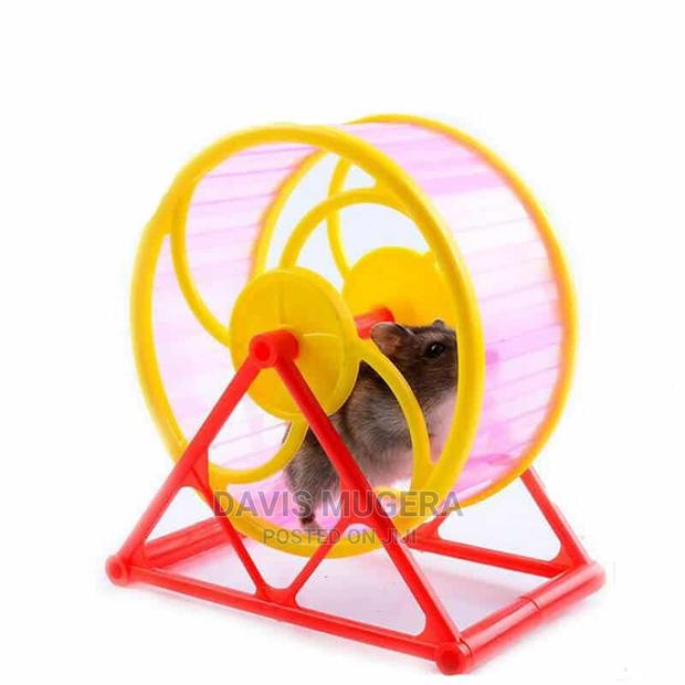 Tread Hamster Wheel Toy - main view