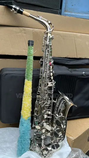Suzuki Alto Saxophone Instrument