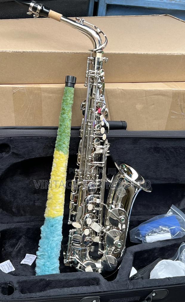Suzuki Bb Alto Saxaphone Musical Instruments - main view