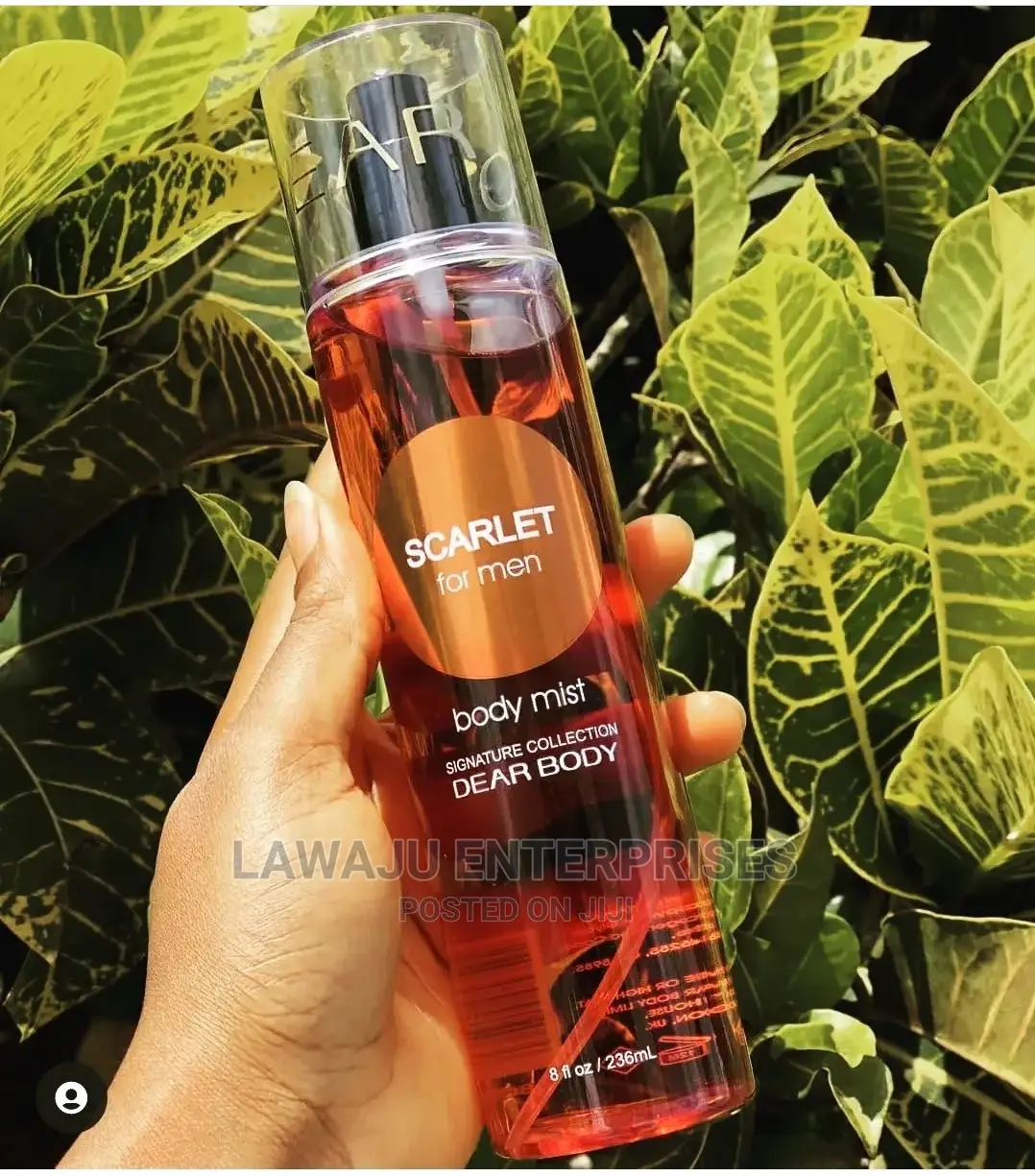 Scarlet for Men Body Mist 236ml