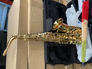 Suzuki Musical Alto Saxophone