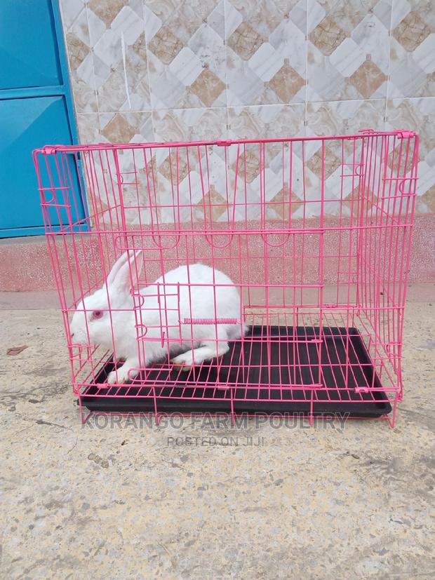Rabbit Cage - thumbnail 4