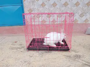 Rabbit Cage