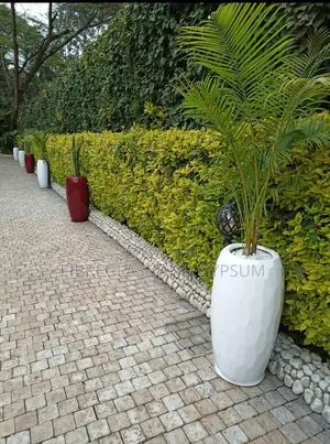 Canna Fibreglass Flower Pots/Planters