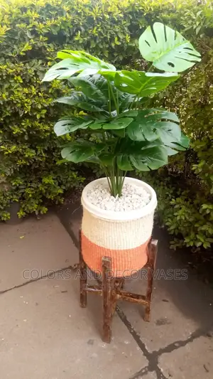 Stand for Plants +Basket/Pebble Stones +Plant