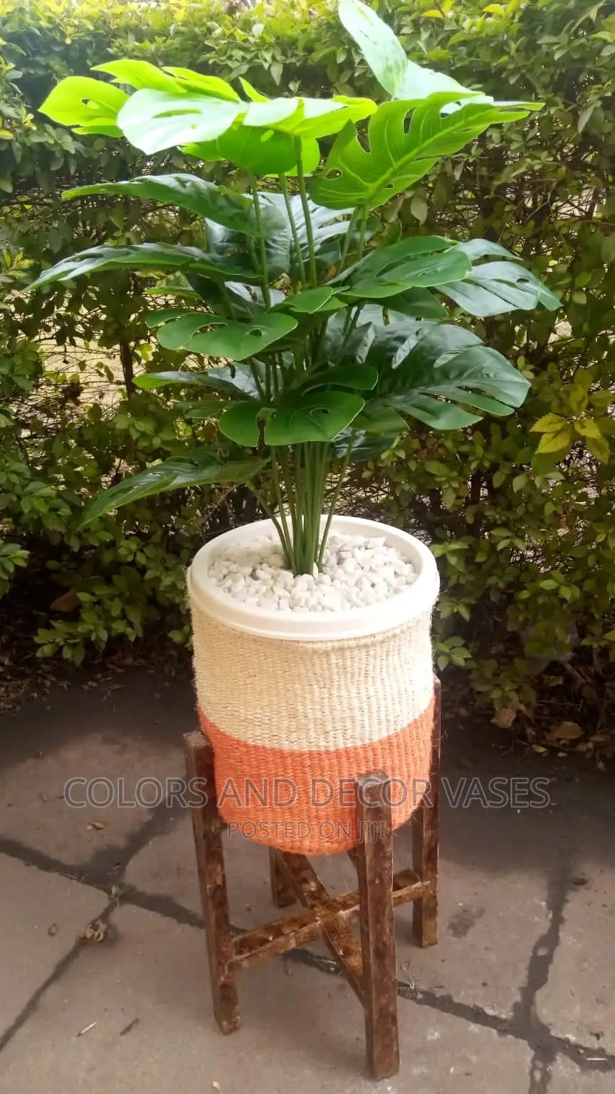 Stand for Plants +Basket/Pebble Stones +Plant