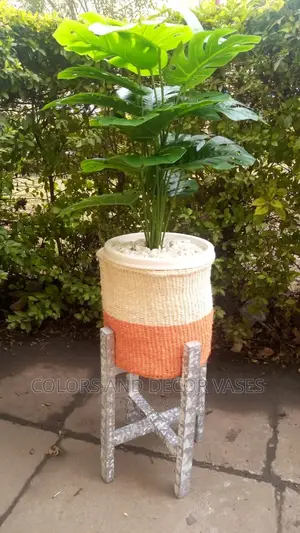 Stand for Plants +Basket/Pebble Stones +Plant