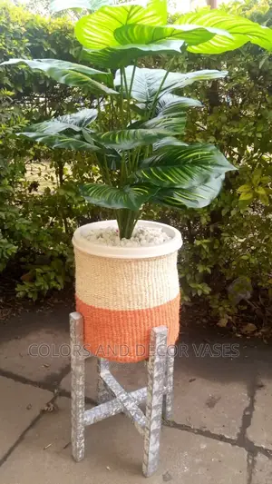 Stand for Plants +Basket/Pebble Stones +Plant