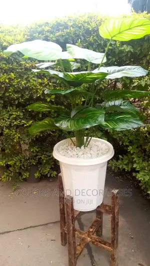 Plastic Vase, Wooden Stand and Plant