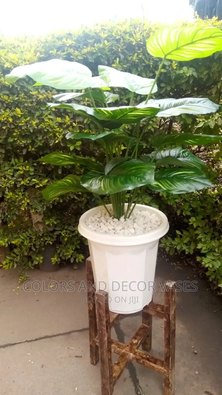 Plastic Vase, Wooden Stand and Plant