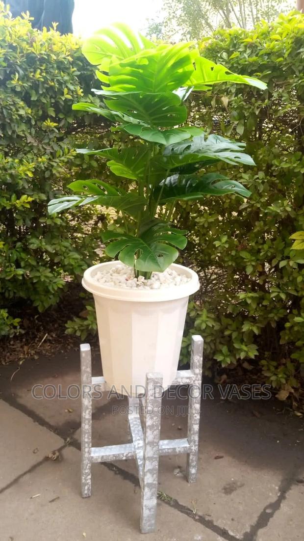 Plastic Vase, Wooden Stand and Plant