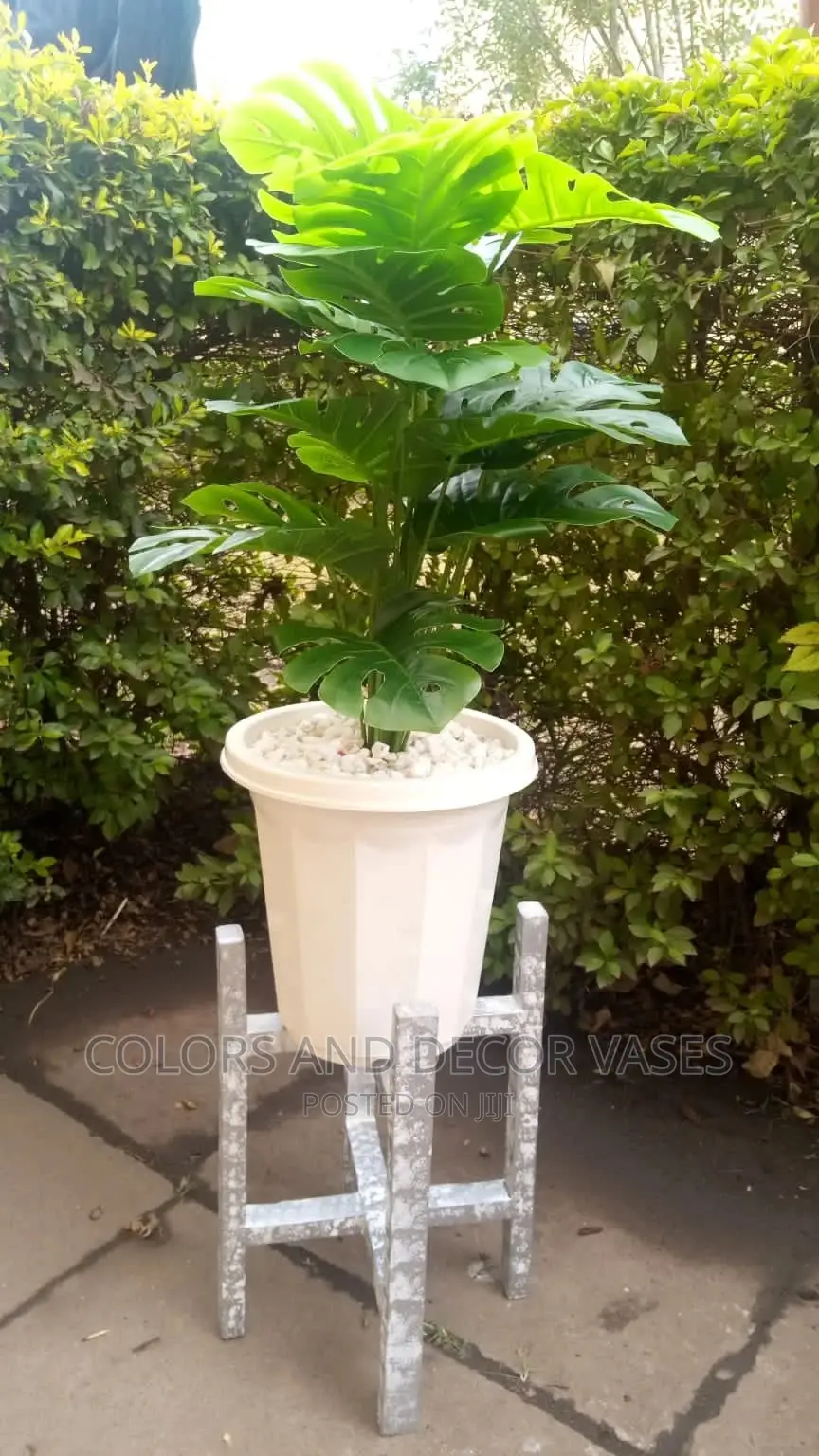 Plastic Vase, Wooden Stand and Plant