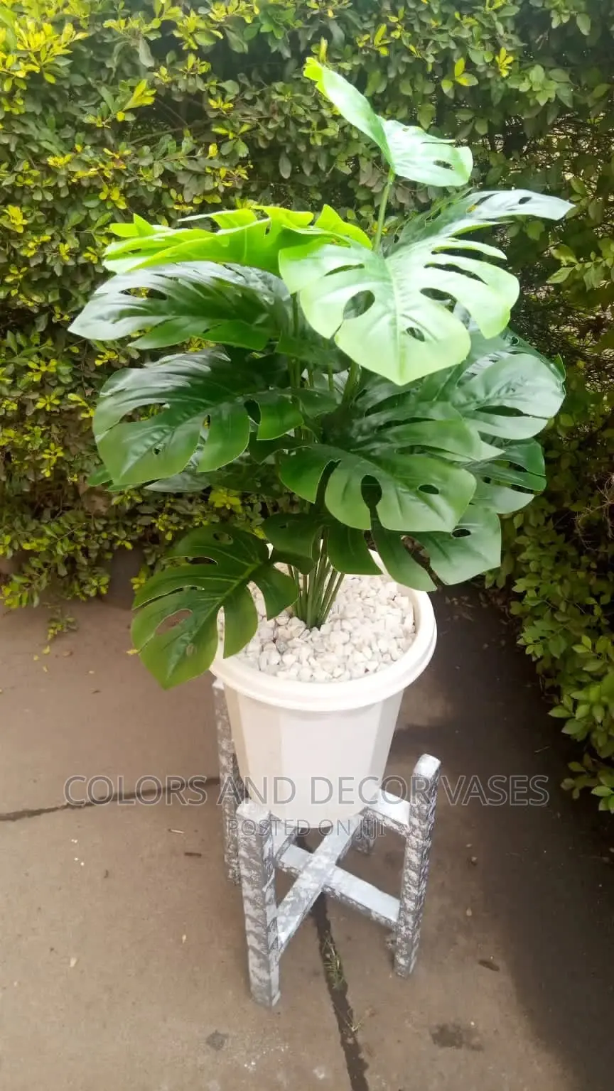 Plastic Vase, Wooden Stand and Plant