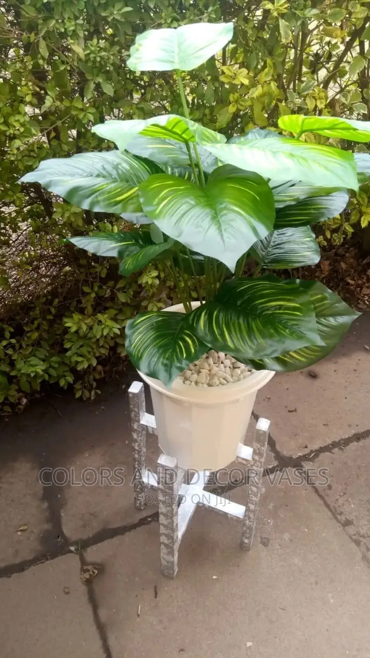 Plastic Vase, Wooden Stand and Plant