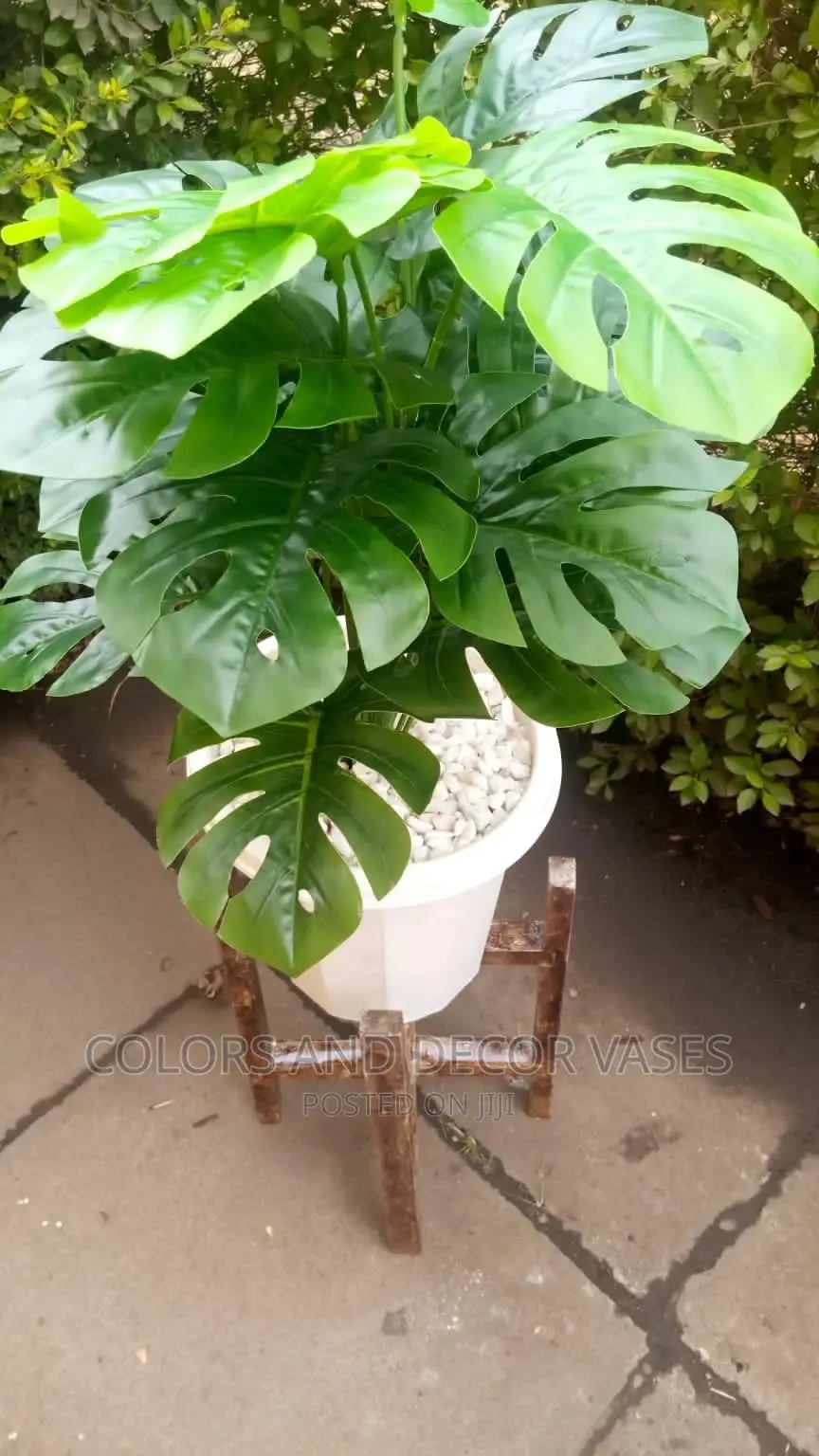Plastic Vase, Wooden Stand and Plant
