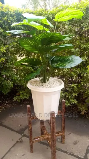 Plastic Vase, Wooden Stand and Plant