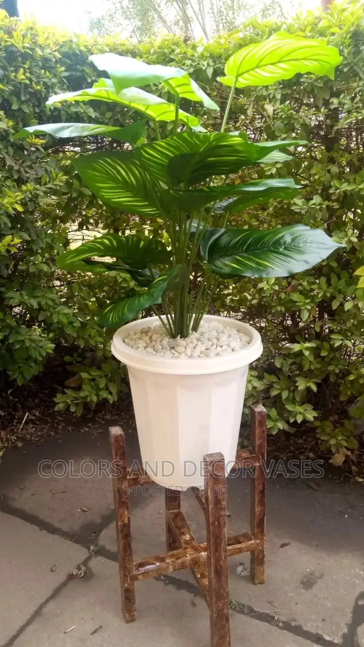 Plastic Vase, Wooden Stand and Plant